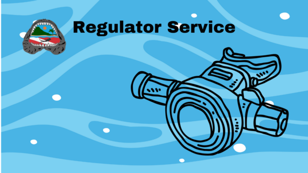 Regulator Inspection and Service