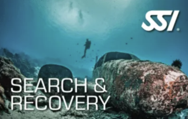 Search and Recovery Course