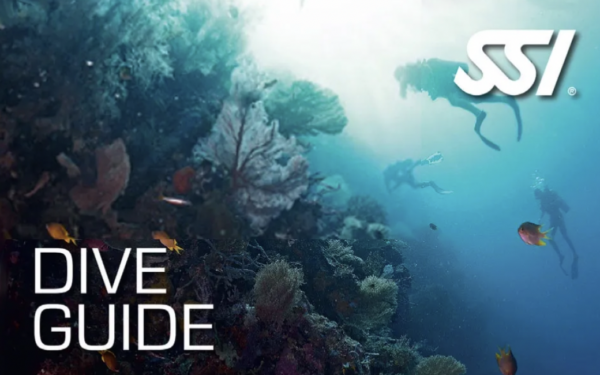 Dive Guide Course