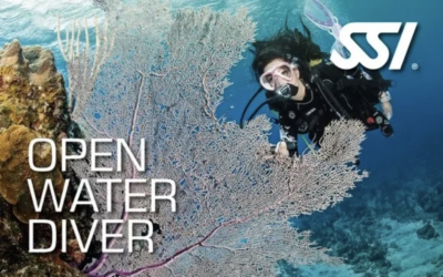 SSI Open Water SCUBA Diver Course