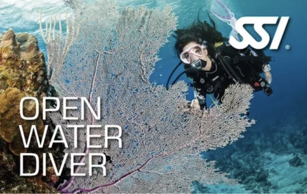 Open Water SCUBA Diver Course