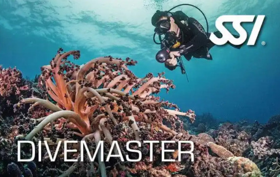 Divemaster class