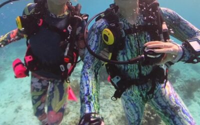 The Journey to Your First Scuba Certification