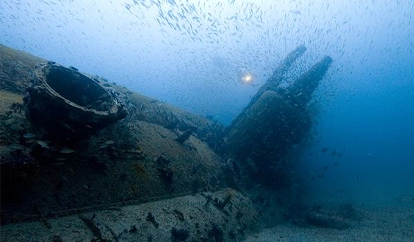 Exploring North Carolina’s Historic Shipwrecks: A Diver’s Paradise