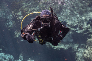 SDI Deep Diver