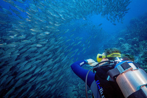 SDI Underwater Photographer