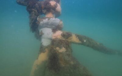 Advice from a Local: Shore Diving the Wrecks of Kill Devil Hills & Nags Head