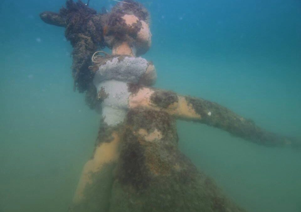 Advice from a Local: Shore Diving the Wrecks of Kill Devil Hills & Nags Head