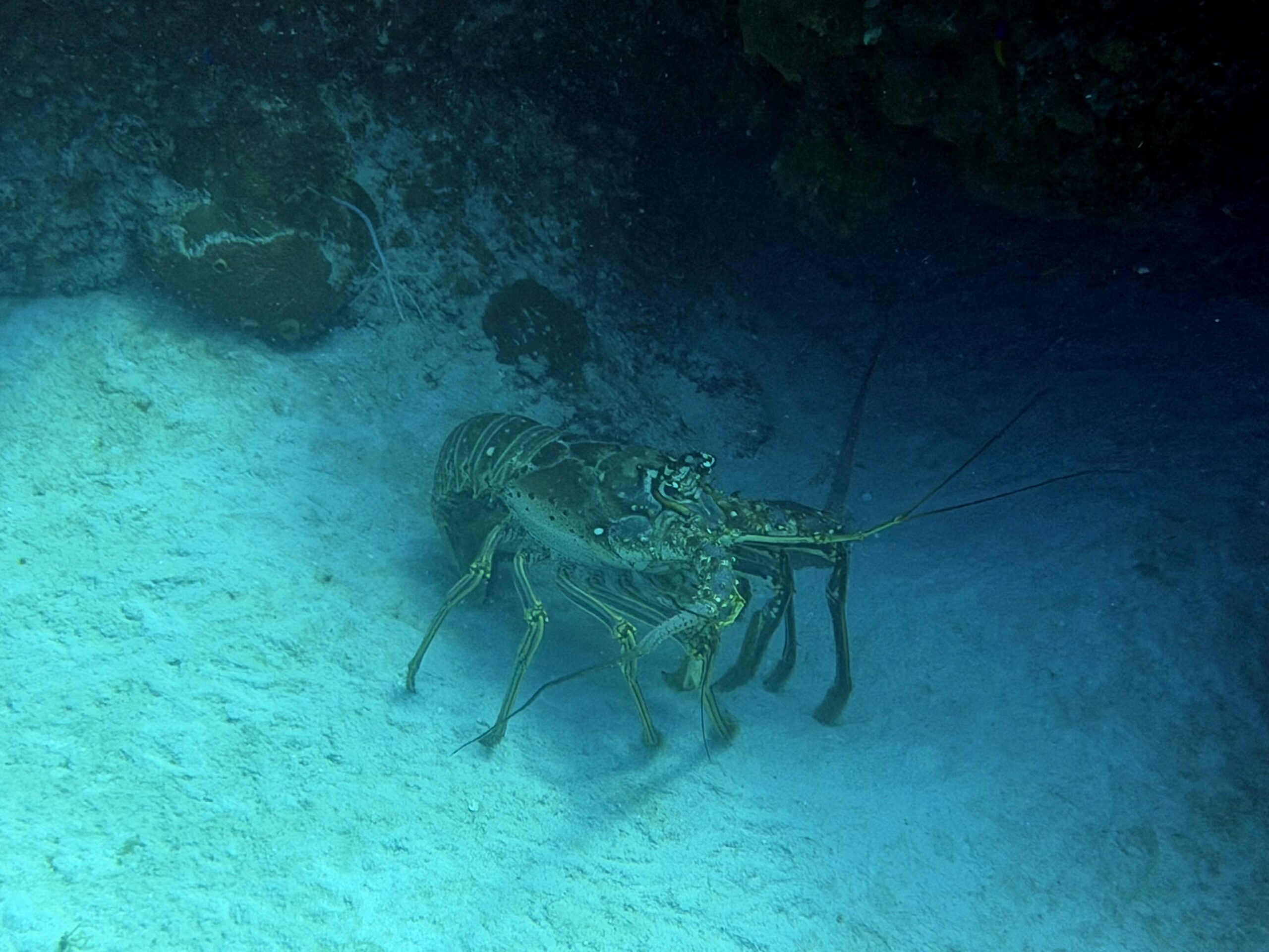 Cayman Brac Beach Resort Adventure, July 18–25, 2026 DEPOSIT - Image 11