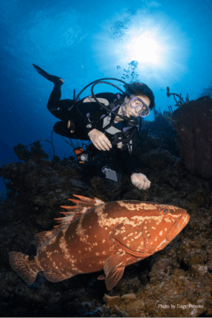 Cayman Brac Beach Resort Adventure, July 18–25, 2026 DEPOSIT