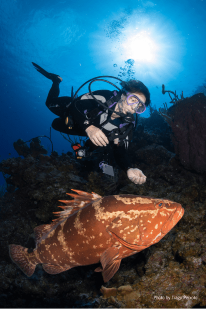 Cayman Brac Beach Resort Adventure, July 18–25, 2026 DEPOSIT