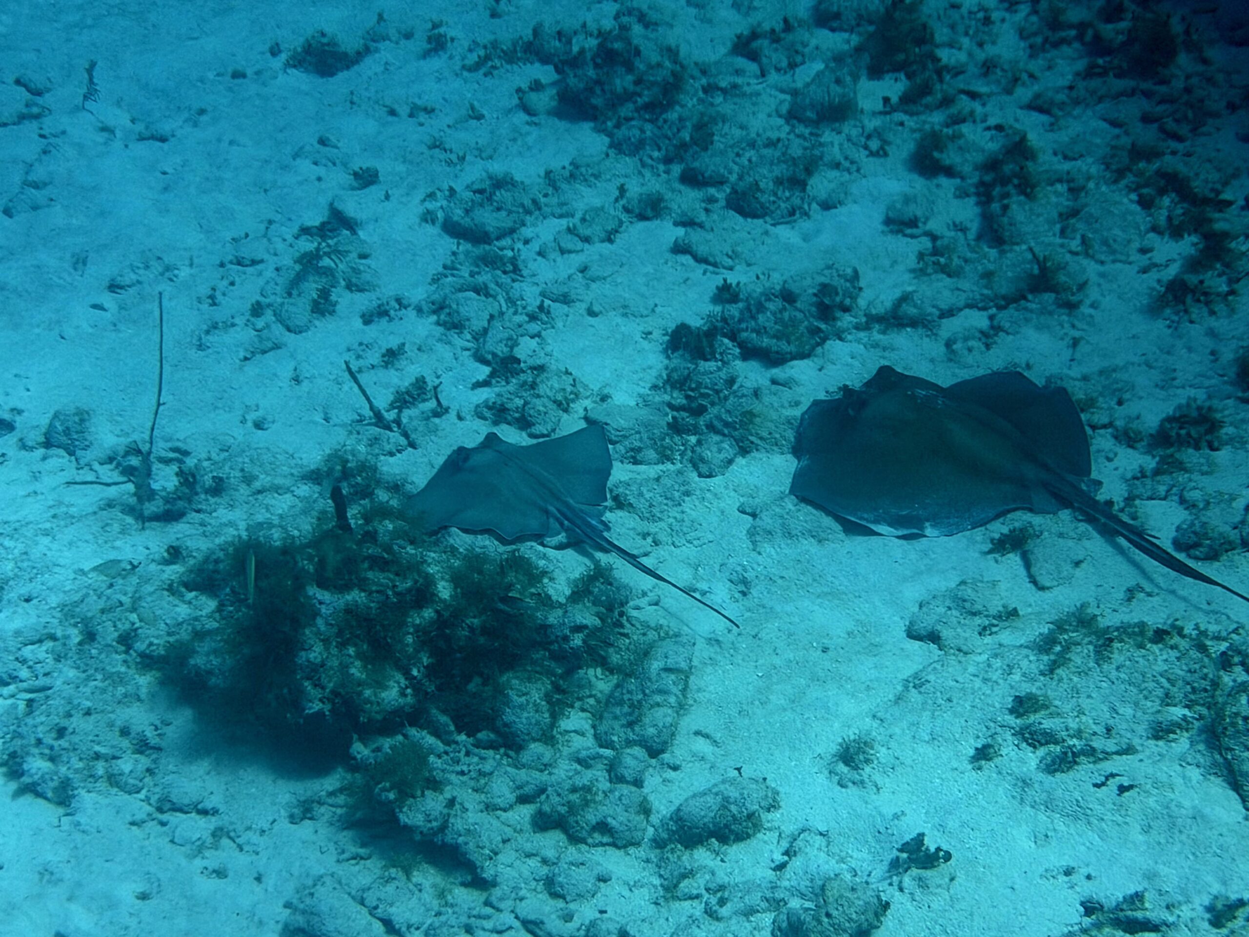 Cayman Brac Beach Resort Adventure, July 18–25, 2026 DEPOSIT - Image 4