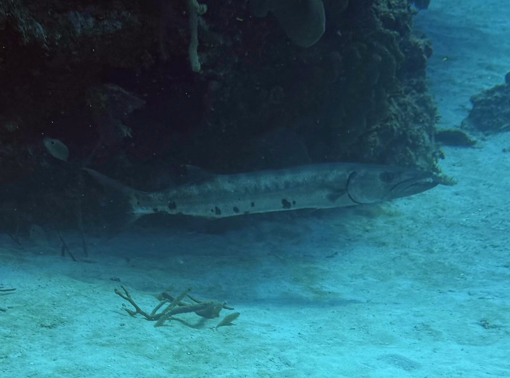 Cayman Brac Beach Resort Adventure, July 18–25, 2026 DEPOSIT - Image 16