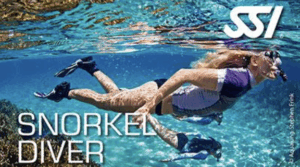 SSI Snorkeling