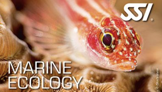 SSI Marine Ecology Specialty Program