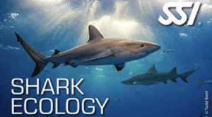 SSI Ecology Specialty Program