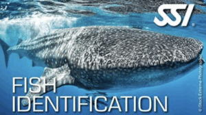 SSI Ecology Specialty Program