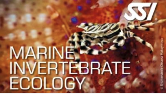 SSI Marine Ecology Specialty Program - Image 6